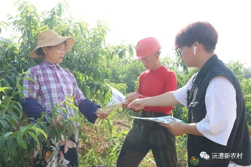 【走进临澧】解锁太浮山夏日甜蜜,一起来摘个“夏天” 露个野营吧(图16) 【走进临澧】解锁太浮山夏日甜蜜,一起来摘个“夏天” 露个野营吧(图16)