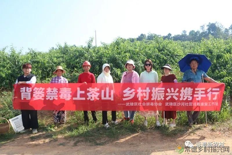 【走进临澧】解锁太浮山夏日甜蜜,一起来摘个“夏天” 露个野营吧(图21) 【走进临澧】解锁太浮山夏日甜蜜,一起来摘个“夏天” 露个野营吧(图21)