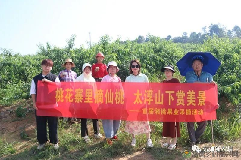 【走进临澧】解锁太浮山夏日甜蜜,一起来摘个“夏天” 露个野营吧(图22) 【走进临澧】解锁太浮山夏日甜蜜,一起来摘个“夏天” 露个野营吧(图22)