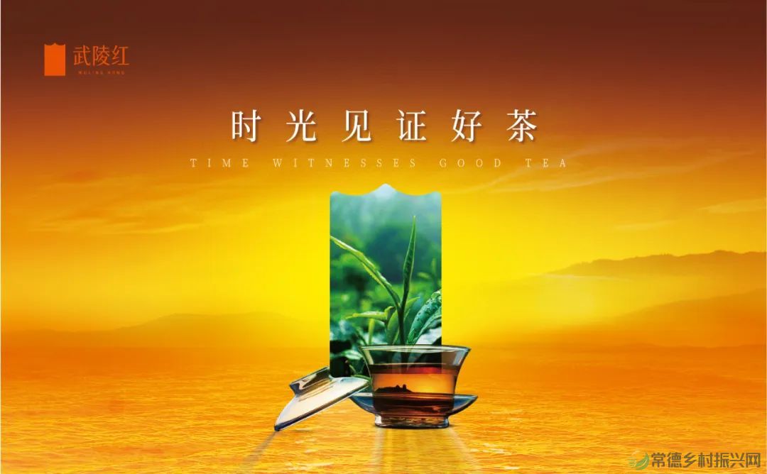 武陵红：“资汇沅澧 共创共赢 国资国企进常德”大会唯一指定用茶