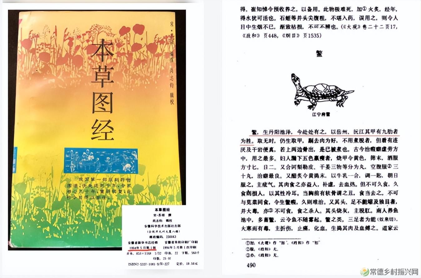“常德甲鱼 食尚星城”常德甲鱼推介暨招商大会将于6月20日在长沙召开(图5)