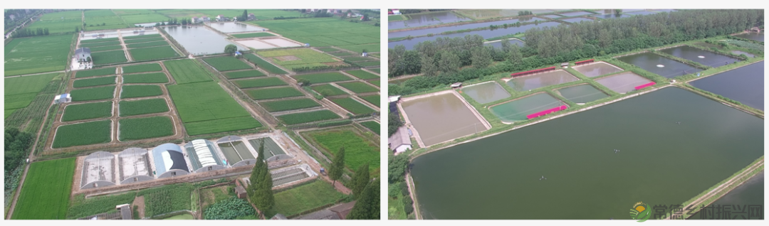 “常德甲鱼 食尚星城”常德甲鱼推介暨招商大会将于6月20日在长沙召开(图8)