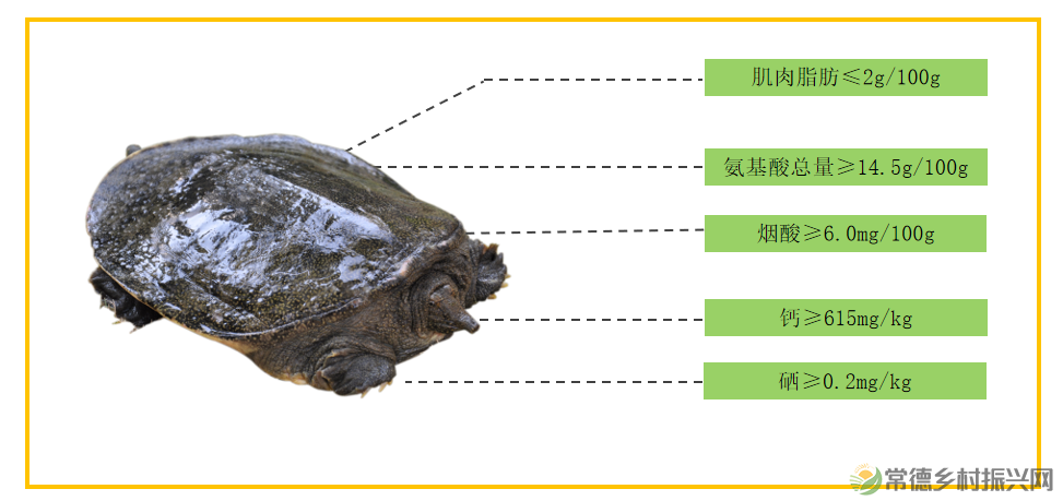 “常德甲鱼 食尚星城”常德甲鱼推介暨招商大会将于6月20日在长沙召开(图7)
