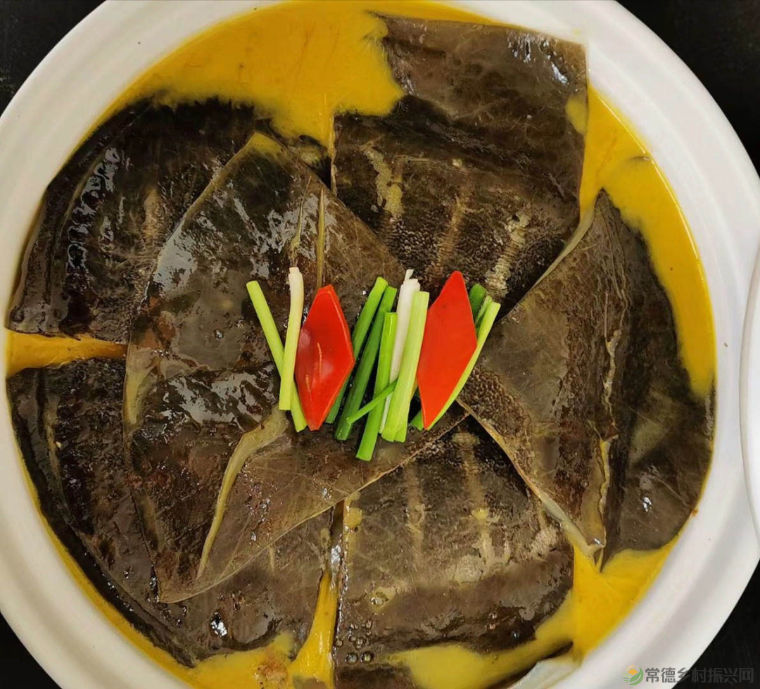 “常德甲鱼 食尚星城”常德甲鱼推介暨招商大会将于6月20日在长沙召开(图10)