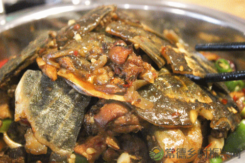 “常德甲鱼 食尚星城”常德甲鱼推介暨招商大会将于6月20日在长沙召开(图11)