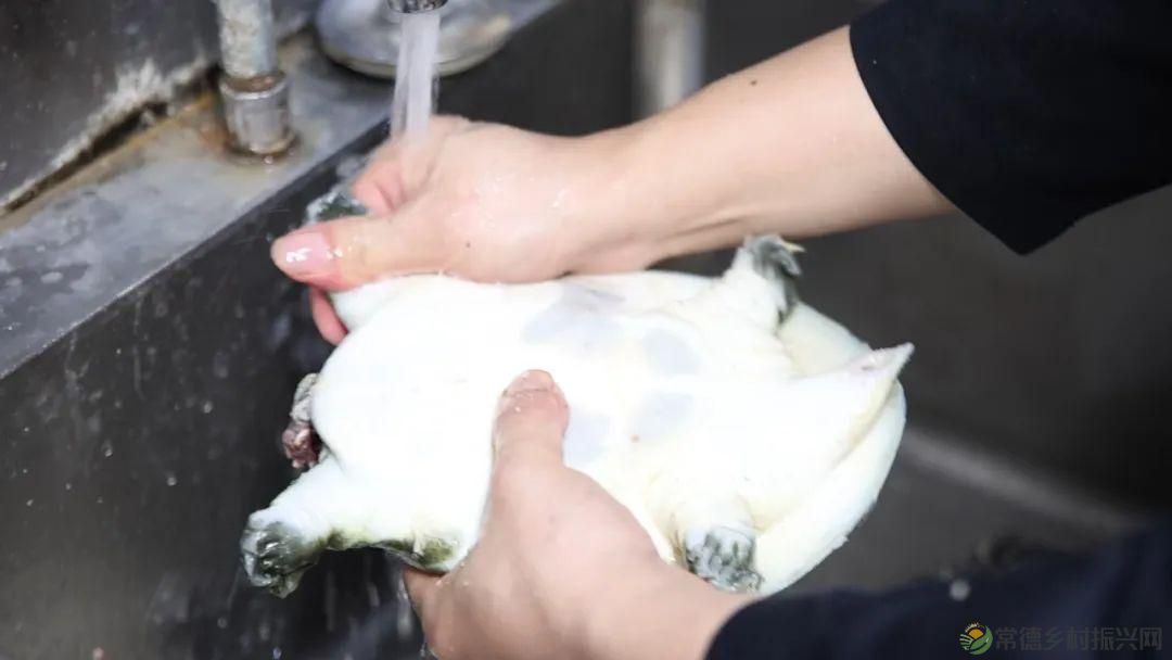 父亲节 以一钵常德甲鱼  致敬天下父亲(图3)