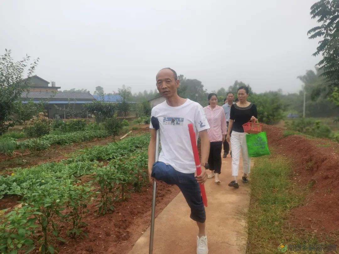 常德市精亲友协会开展送技术下乡、关爱精亲友农户活动(图6) 常德市精亲友协会开展送技术下乡、关爱精亲友农户活动(图6)