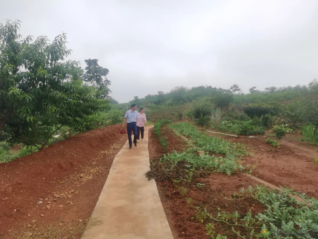 常德市精亲友协会开展送技术下乡、关爱精亲友农户活动(图8) 常德市精亲友协会开展送技术下乡、关爱精亲友农户活动(图8)