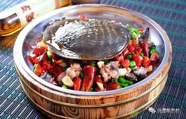 【寻味常德】从一钵常德甲鱼说起(图6) 【寻味常德】从一钵常德甲鱼说起(图6)