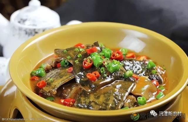【寻味常德】从一钵常德甲鱼说起(图5) 【寻味常德】从一钵常德甲鱼说起(图5)