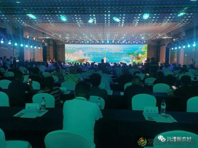 【寻味常德】从一钵常德甲鱼说起(图12) 【寻味常德】从一钵常德甲鱼说起(图12)