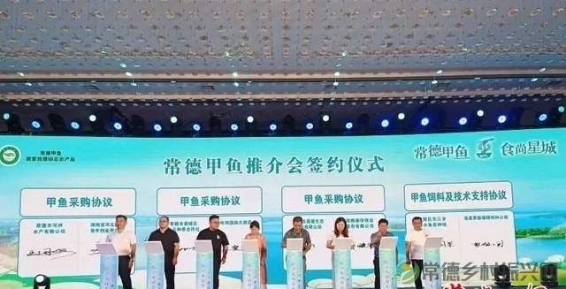 【寻味常德】从一钵常德甲鱼说起(图13) 【寻味常德】从一钵常德甲鱼说起(图13)