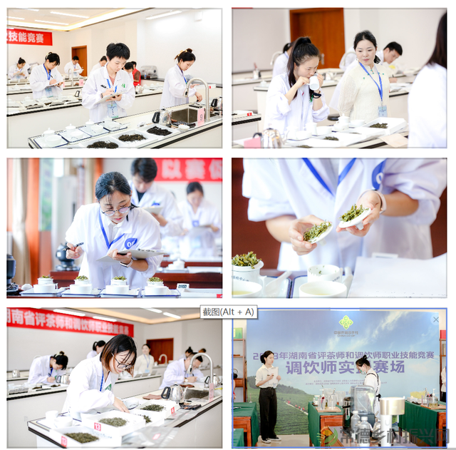 常德榜上有名 2023年湖南省评茶师和调饮师职业技能竞赛圆满收官(图21) 常德榜上有名 2023年湖南省评茶师和调饮师职业技能竞赛圆满收官(图21)