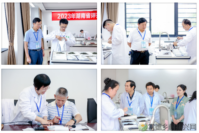 常德榜上有名 2023年湖南省评茶师和调饮师职业技能竞赛圆满收官(图24) 常德榜上有名 2023年湖南省评茶师和调饮师职业技能竞赛圆满收官(图24)