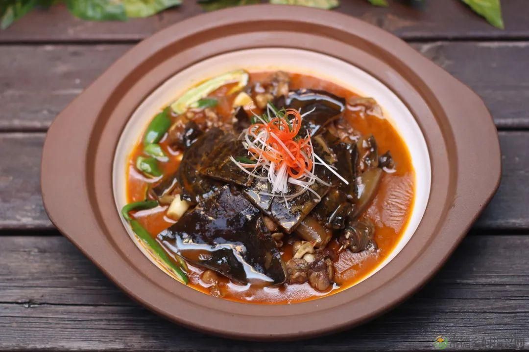 常德甲鱼唯美仙,仙湖甲鱼看过来......(图4) 常德甲鱼唯美仙,仙湖甲鱼看过来......(图4)