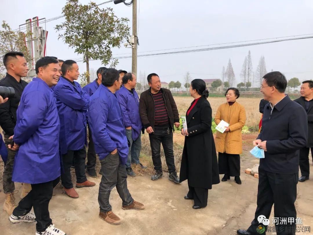 市领导一行莅临河洲甲鱼产业集团调研指导甲鱼产业发展情况(图2) 市领导一行莅临河洲甲鱼产业集团调研指导甲鱼产业发展情况(图2)