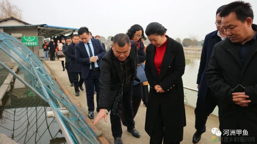 市领导一行莅临河洲甲鱼产业集团调研指导甲鱼产业发展情况(图4) 市领导一行莅临河洲甲鱼产业集团调研指导甲鱼产业发展情况(图4)
