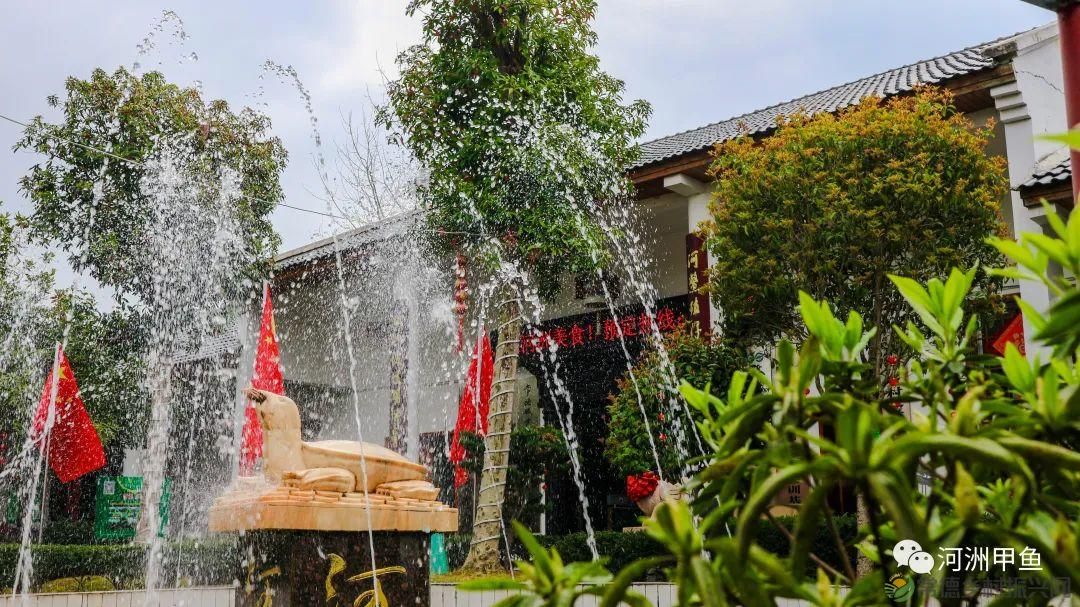 常德甲鱼唯美鲜,河洲甲鱼看过来......(图2) 常德甲鱼唯美鲜,河洲甲鱼看过来......(图2)