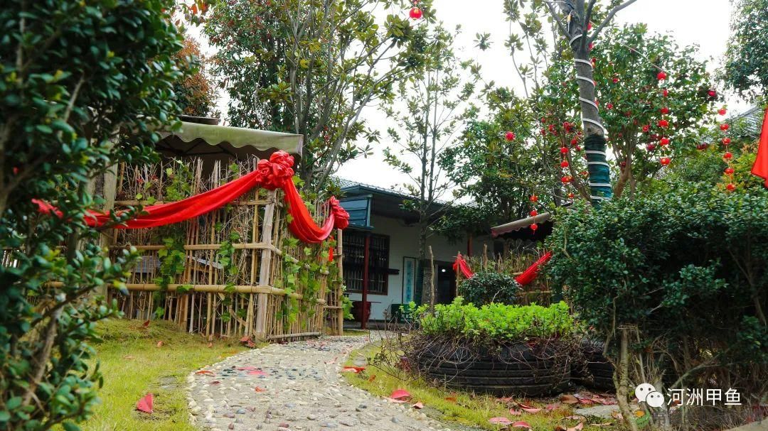 常德甲鱼唯美鲜,河洲甲鱼看过来......(图3) 常德甲鱼唯美鲜,河洲甲鱼看过来......(图3)