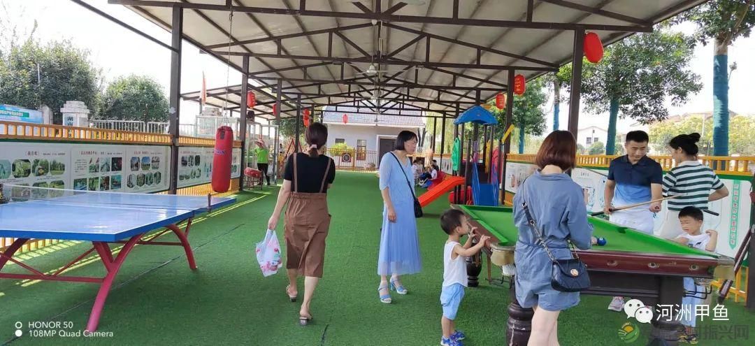 常德甲鱼唯美鲜,河洲甲鱼看过来......(图9) 常德甲鱼唯美鲜,河洲甲鱼看过来......(图9)