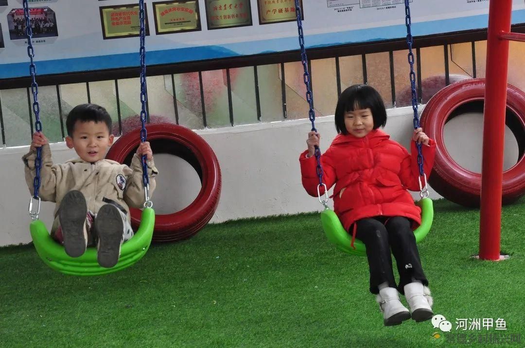 常德甲鱼唯美鲜,河洲甲鱼看过来......(图22) 常德甲鱼唯美鲜,河洲甲鱼看过来......(图22)