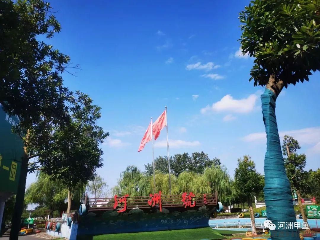 常德甲鱼唯美鲜,河洲甲鱼看过来......(图26) 常德甲鱼唯美鲜,河洲甲鱼看过来......(图26)