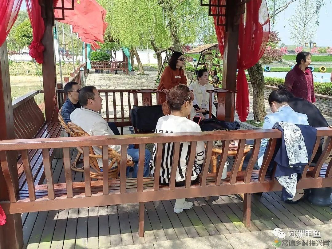 常德甲鱼唯美鲜,河洲甲鱼看过来......(图27) 常德甲鱼唯美鲜,河洲甲鱼看过来......(图27)