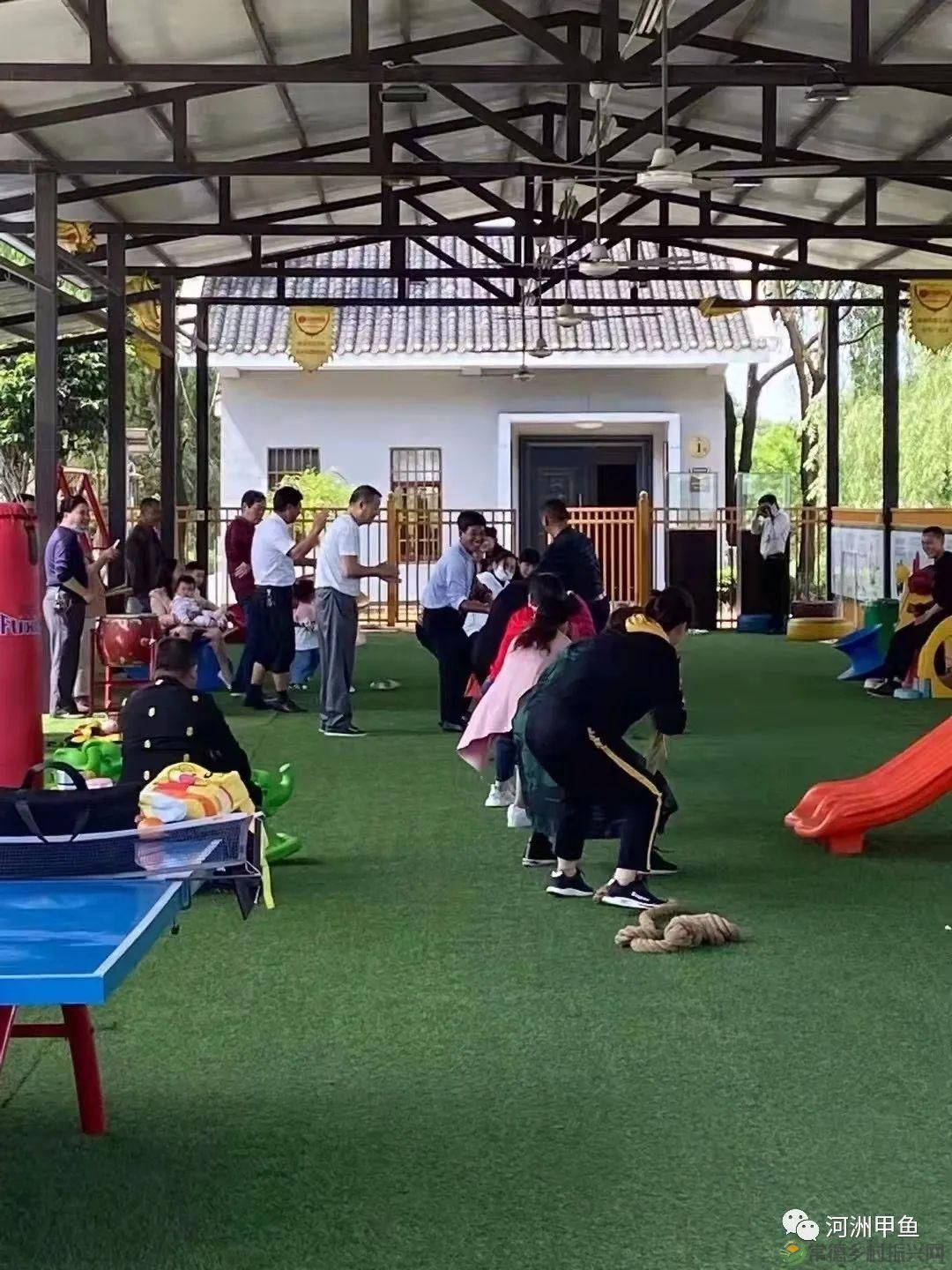 常德甲鱼唯美鲜,河洲甲鱼看过来......(图30) 常德甲鱼唯美鲜,河洲甲鱼看过来......(图30)