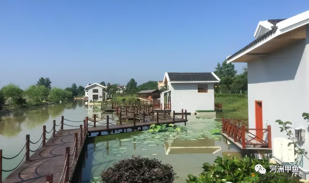 常德甲鱼唯美鲜,河洲甲鱼看过来......(图33) 常德甲鱼唯美鲜,河洲甲鱼看过来......(图33)