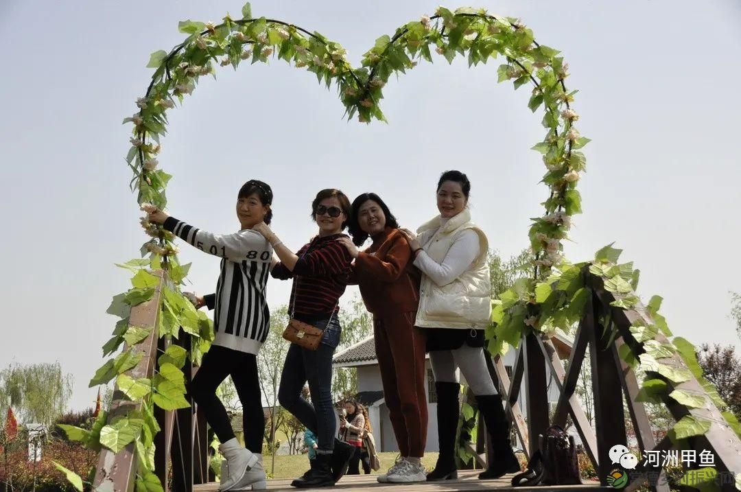 常德甲鱼唯美鲜,河洲甲鱼看过来......(图35) 常德甲鱼唯美鲜,河洲甲鱼看过来......(图35)