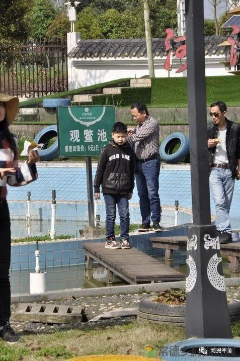 常德甲鱼唯美鲜,河洲甲鱼看过来......(图36) 常德甲鱼唯美鲜,河洲甲鱼看过来......(图36)