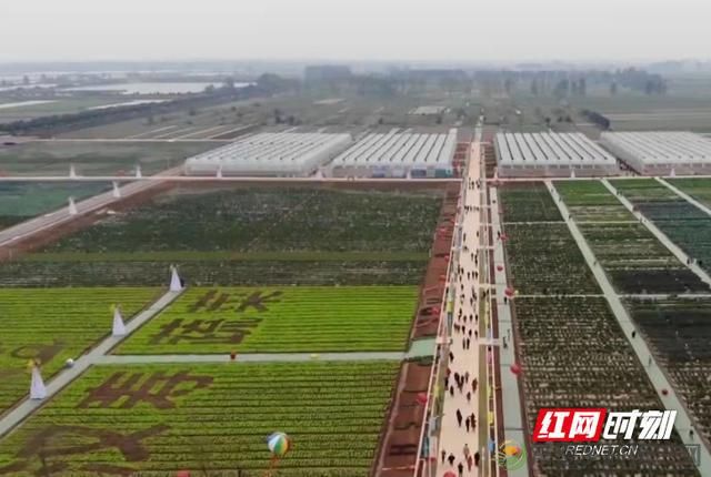 中国龟鳖产业启航地——汉寿掀起甲鱼产业发展高潮(图3) 中国龟鳖产业启航地——汉寿掀起甲鱼产业发展高潮(图3)