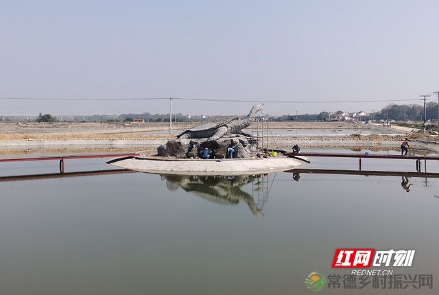 中国龟鳖产业启航地——汉寿掀起甲鱼产业发展高潮(图2) 中国龟鳖产业启航地——汉寿掀起甲鱼产业发展高潮(图2)