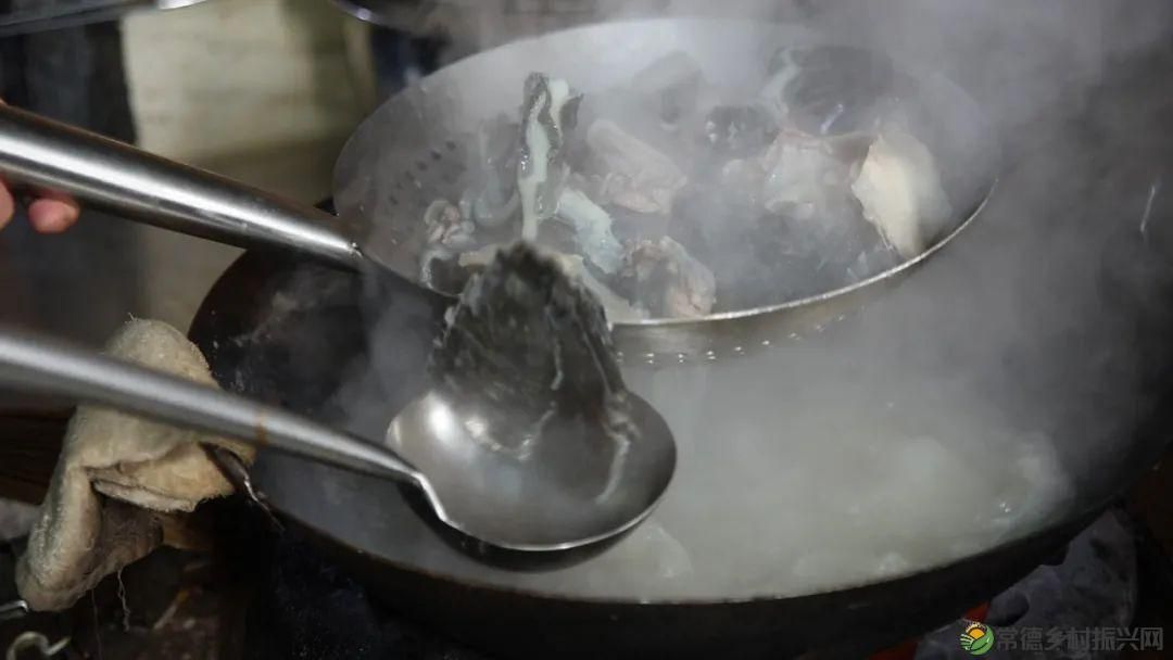 以一钵常德甲鱼 致敬天下父亲(图5) 以一钵常德甲鱼 致敬天下父亲(图5)