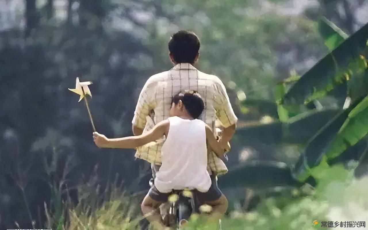 以一钵常德甲鱼 致敬天下父亲(图18) 以一钵常德甲鱼 致敬天下父亲(图18)