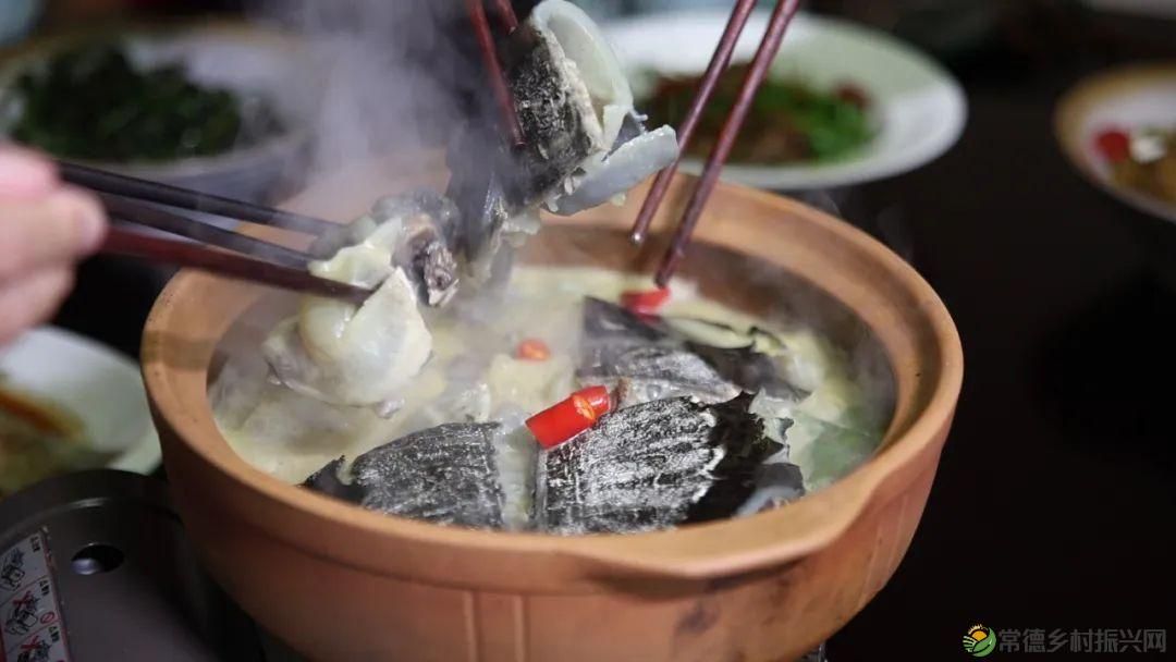 以一钵常德甲鱼 致敬天下父亲(图15) 以一钵常德甲鱼 致敬天下父亲(图15)