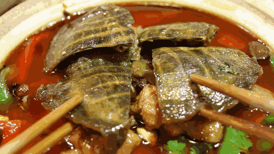 游世外桃源，品常德甲鱼(图3)