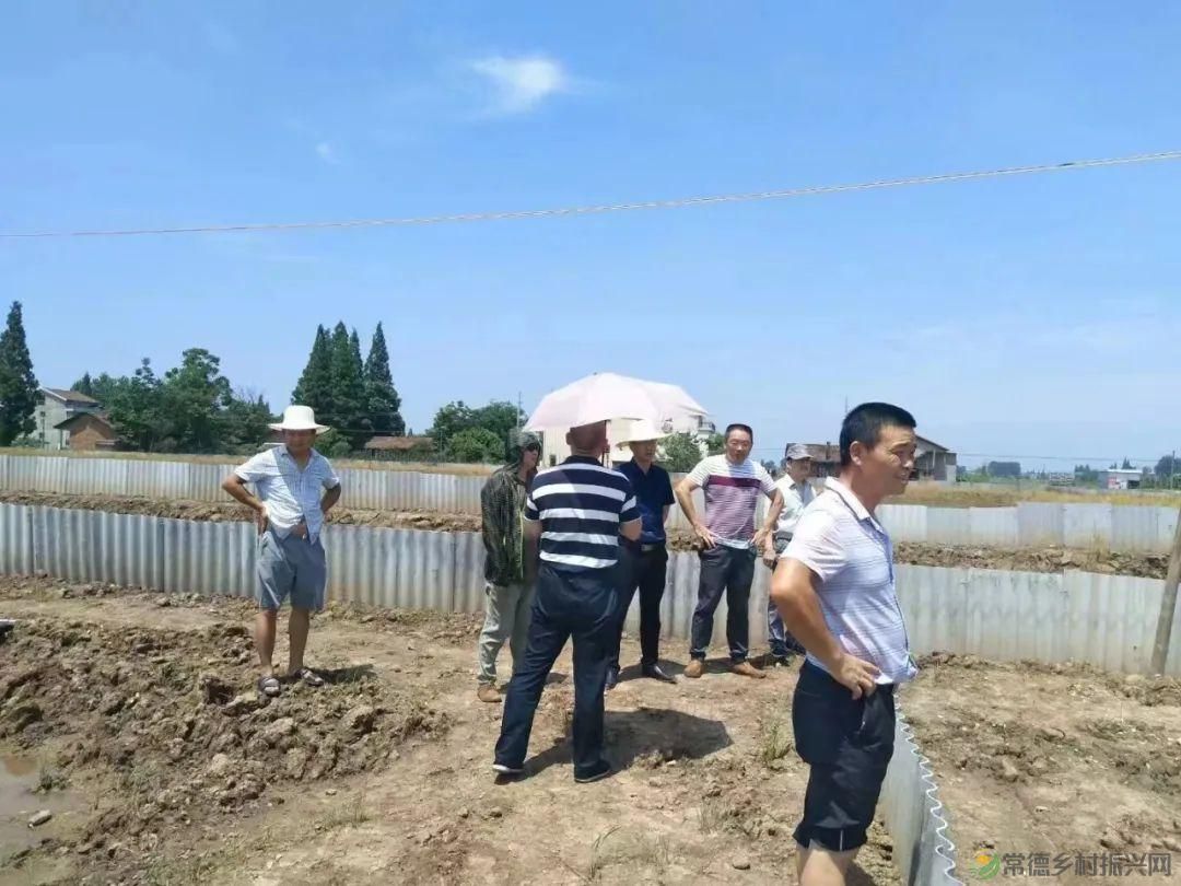 【沅澧新农人】梁波:从知名餐厨到甲鱼王子的华丽转身(图2) 【沅澧新农人】梁波:从知名餐厨到甲鱼王子的华丽转身(图2)