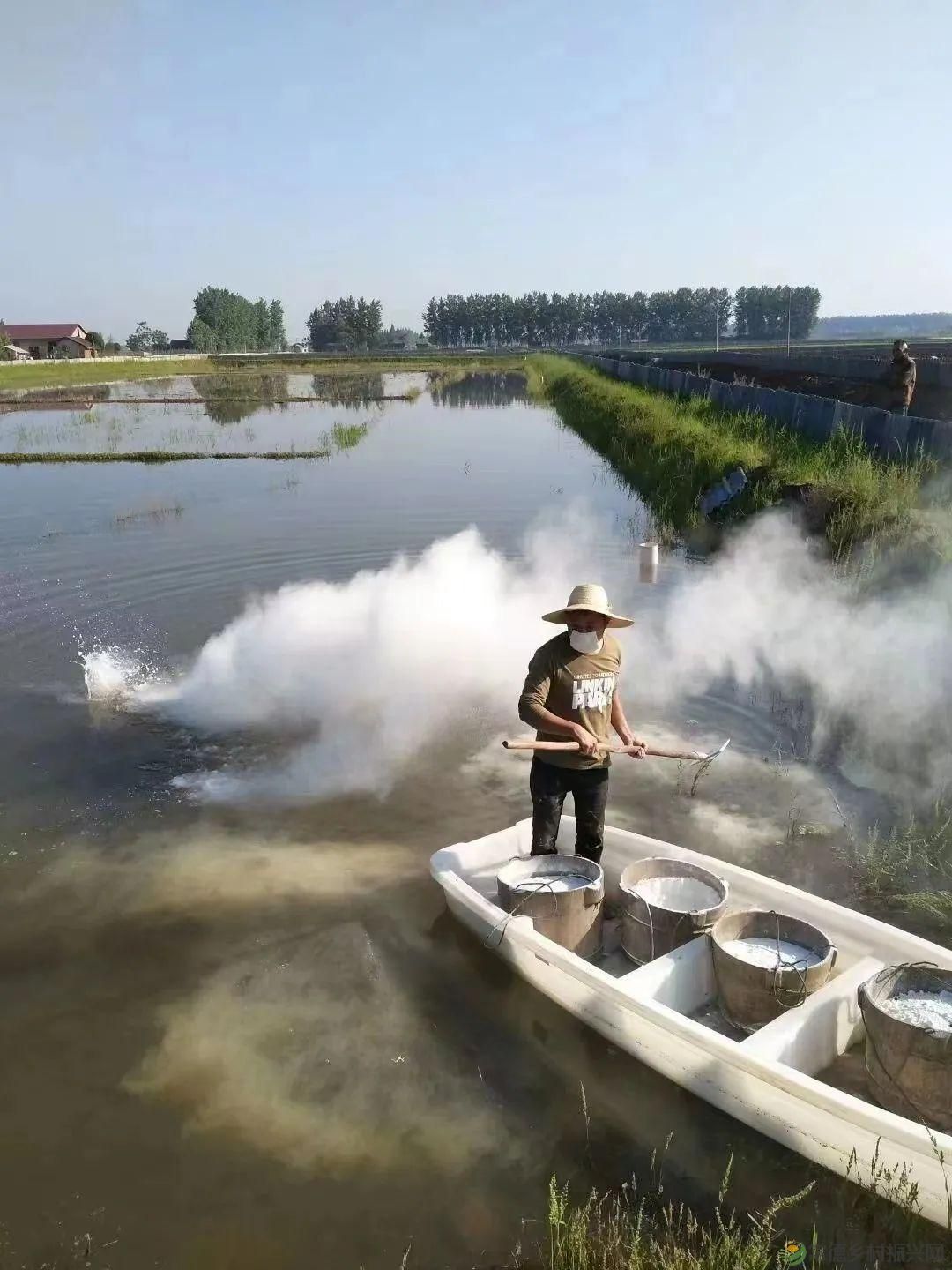 【沅澧新农人】梁波:从知名餐厨到甲鱼王子的华丽转身(图11) 【沅澧新农人】梁波:从知名餐厨到甲鱼王子的华丽转身(图11)