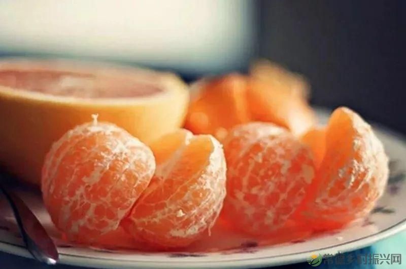 离情别苦,偏偏牵肠挂肚(图4) 离情别苦,偏偏牵肠挂肚(图4)