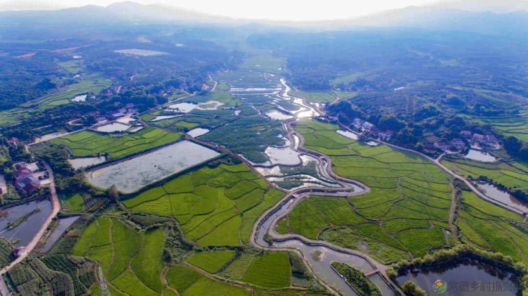 【沅澧新农人】林明学：我与嘉莲两相惜，共养荷鳖换千金