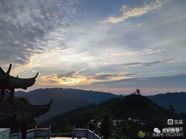 来君和, 不止有茶,还有蔡家塘的假日时光(图7) 来君和, 不止有茶,还有蔡家塘的假日时光(图7)