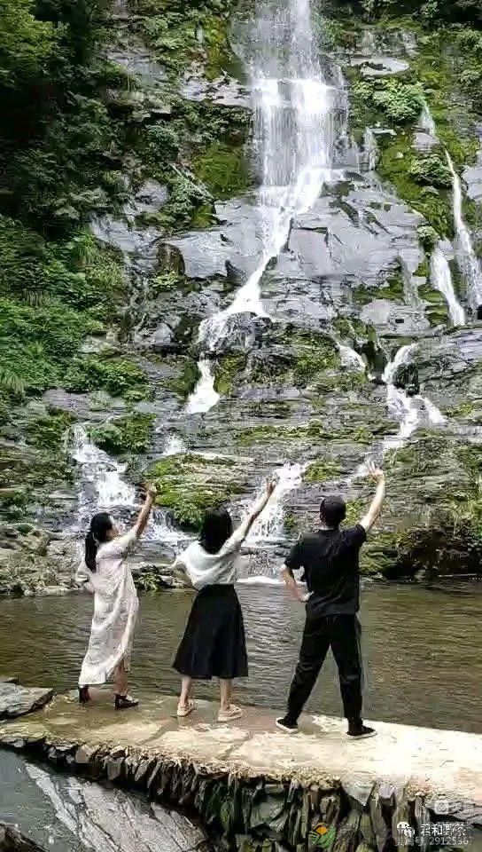 来君和, 不止有茶,还有蔡家塘的假日时光(图17) 来君和, 不止有茶,还有蔡家塘的假日时光(图17)