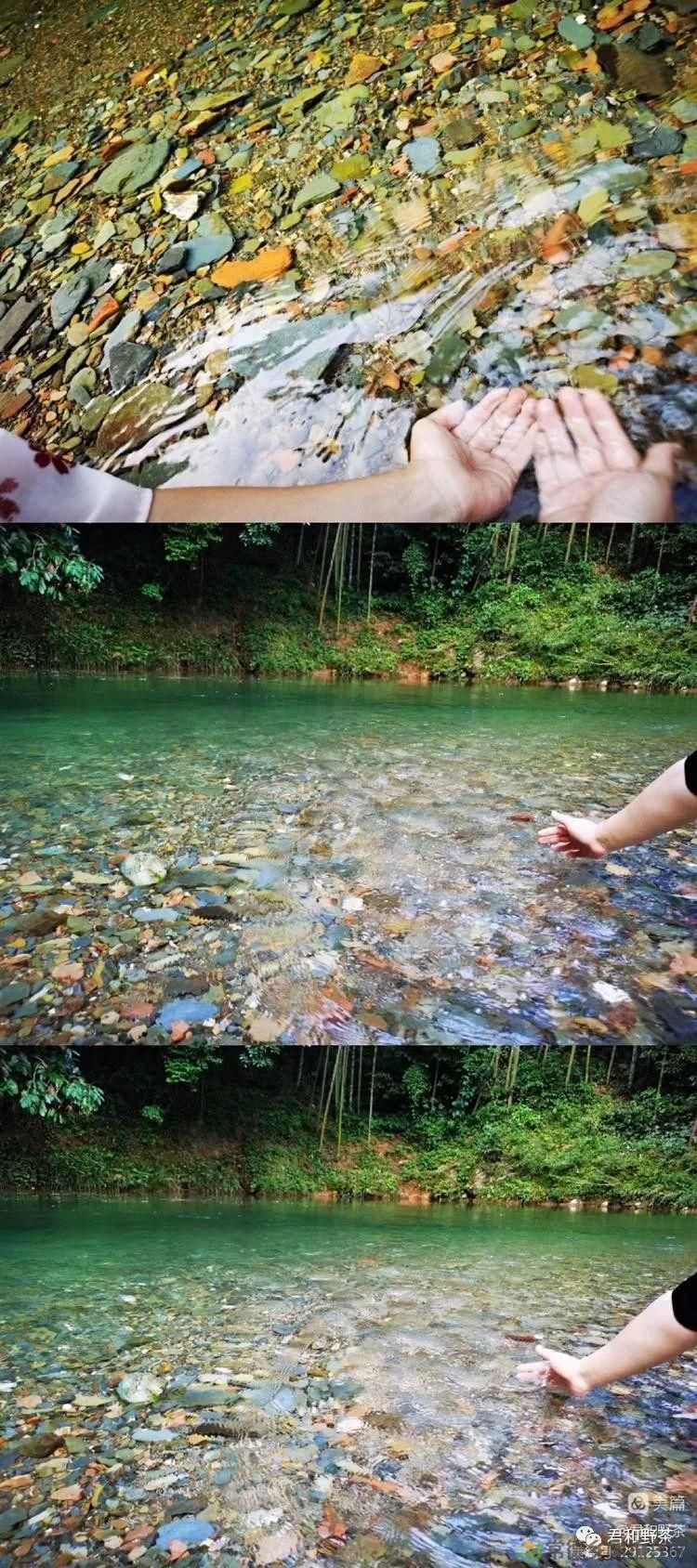 来君和, 不止有茶,还有蔡家塘的假日时光(图23) 来君和, 不止有茶,还有蔡家塘的假日时光(图23)