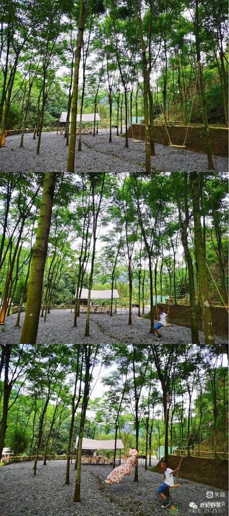 来君和, 不止有茶,还有蔡家塘的假日时光(图25) 来君和, 不止有茶,还有蔡家塘的假日时光(图25)