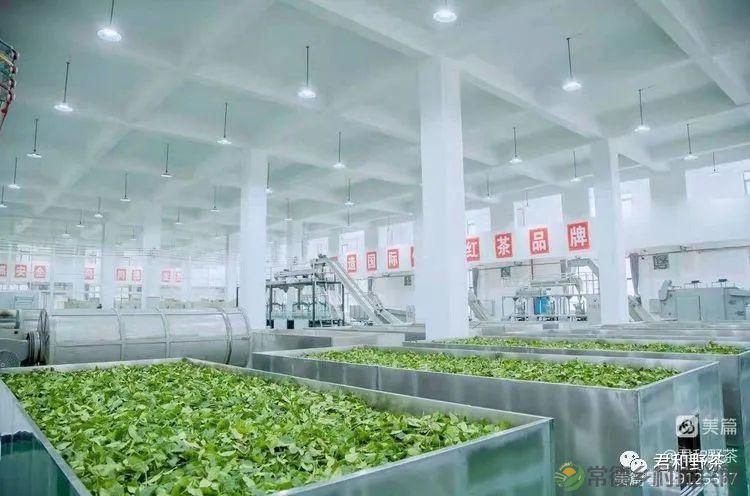 来君和, 不止有茶,还有蔡家塘的假日时光(图40) 来君和, 不止有茶,还有蔡家塘的假日时光(图40)