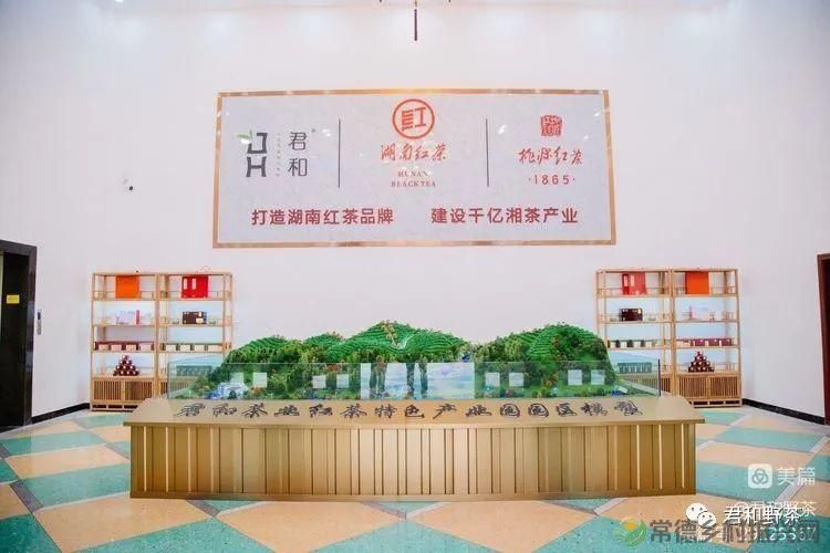 来君和, 不止有茶,还有蔡家塘的假日时光(图39) 来君和, 不止有茶,还有蔡家塘的假日时光(图39)