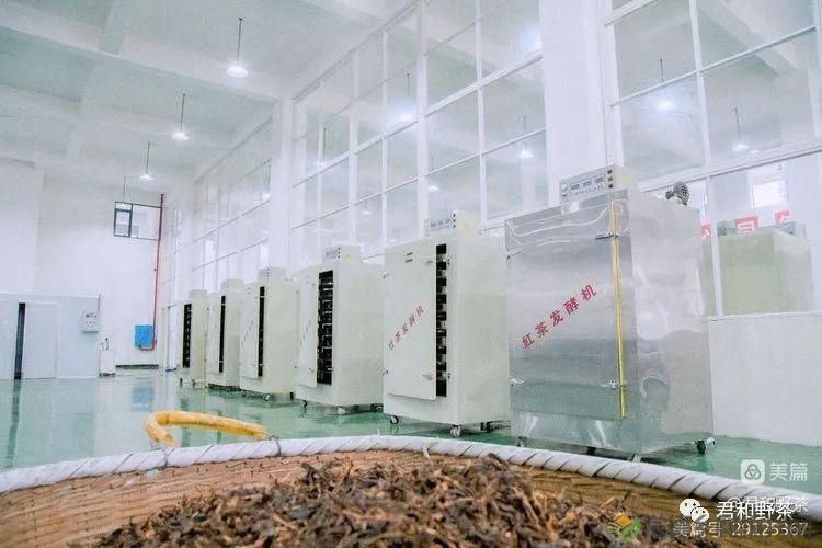 来君和, 不止有茶,还有蔡家塘的假日时光(图41) 来君和, 不止有茶,还有蔡家塘的假日时光(图41)