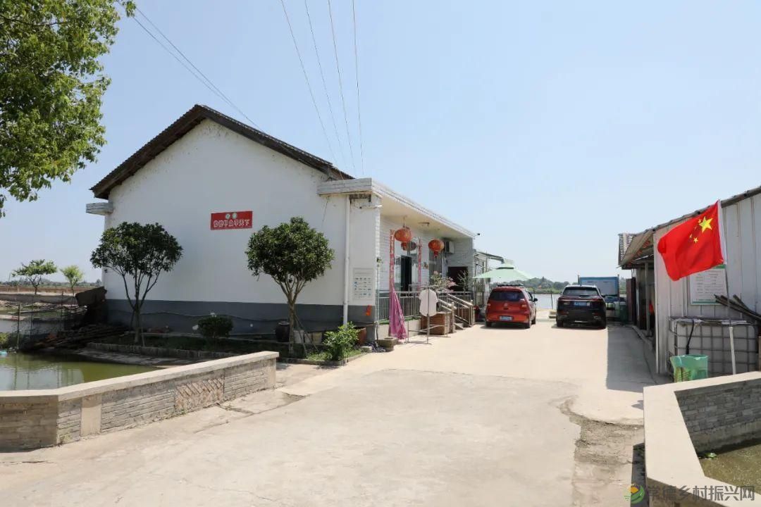 【沅澧新农人】罗强:创新水产新模式 探索发展新思路(图2) 【沅澧新农人】罗强:创新水产新模式 探索发展新思路(图2)