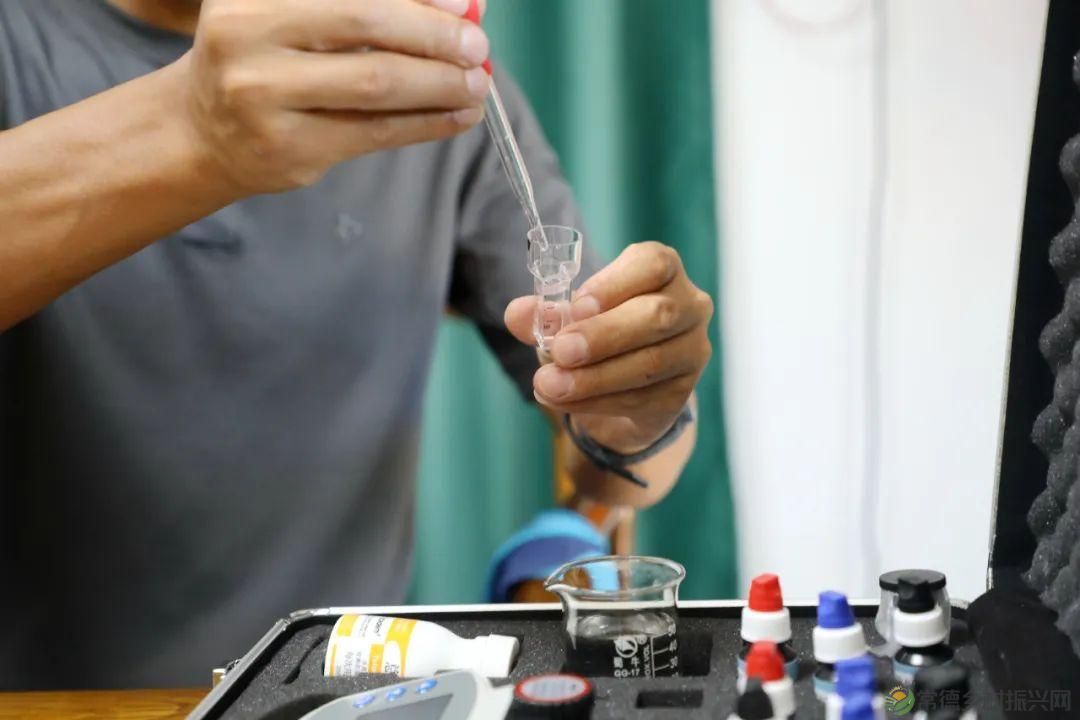 【沅澧新农人】罗强:创新水产新模式 探索发展新思路(图4) 【沅澧新农人】罗强:创新水产新模式 探索发展新思路(图4)